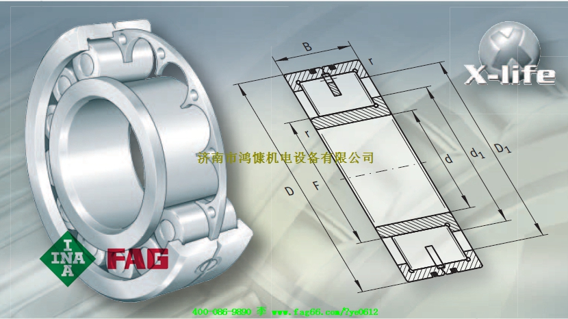 山东进口轴承&mdash;FAG轴承